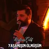 About Yaşamışım Ölmüşüm Song