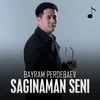 About Saginaman seni Song