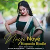 About Naye Naye Kapada Badle Song