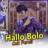 About Hallo Bolo Song