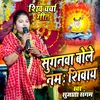 About Suganava Bole Namah Shivay Song