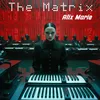 About The Matrix Song