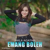About Emang Boleh Song
