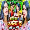 About Jahiya Pagla Ke Bipi Badh Jai Song