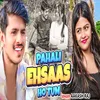 About Pahali Ehsaas HoTum Song