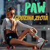 About Godzina Złota Song