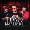 About Dano Irreversível Song