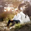 About מחפש לי מילים Song