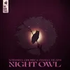 About Night Owl Song