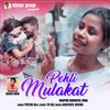 About PEHLI MULAKAT Song
