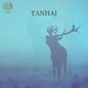 About TANHAI Song