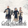 About Colaj de Colinde Song