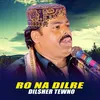 About Ro Na Dilre Song