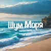 About Шум моря Song