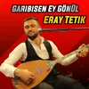 About Garibisen Ey Gönül Song