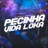 About PECINHA VIDA LOKA Song