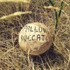 Palluni Ruccati