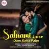 About Satnami Jaise Dam Kaha Pabe Song