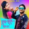 About Gulab Na Ful Sarkha Chehra Tuna Song