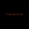 About PARABELLUM Song