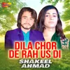 About Dila Chor De Rah Us Di Song