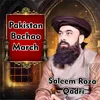 About Pakistan Bachao March Song