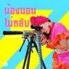 About น้องนอนไม่หลับ Song