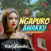 About Ngapuro Awakku Song