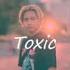 About Toxic Song