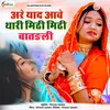 About अरे याद आवे थारी मिठी मिठी बातङली Song