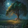 The wind in