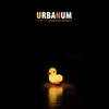 Urbanum
