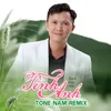 About Tình Anh Song