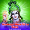 About Kanhaiya Mera Dil Le Gaya Song
