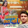 About Pratapgarh Hara Nahi Hai Song