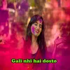 About Gali Nhi Hai Dosto Song