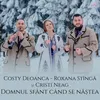 About Domnul Sfânt când se năștea Song