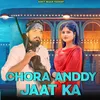 About Chora Anddy Jaat ka Song