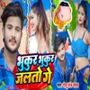 About Bhukur Bhukur Jalto Ge Song