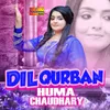 About Dil Qurban Song