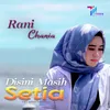 About Disini Masih Setia Song