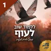 כמו מלאך