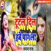 About Tutal Dil Habe Pagala Song