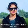 About Tor Hridayer Prem Jomite Badhte Chai Ghar Song