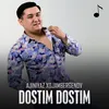 About Dostim dostim Song