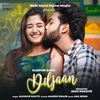 About DilJaan Song