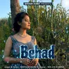 About Behad Song