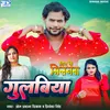 About Gulabiya Song