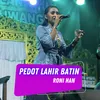 About Pedot Lahir Batin Song