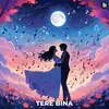 About TERE BINA Song